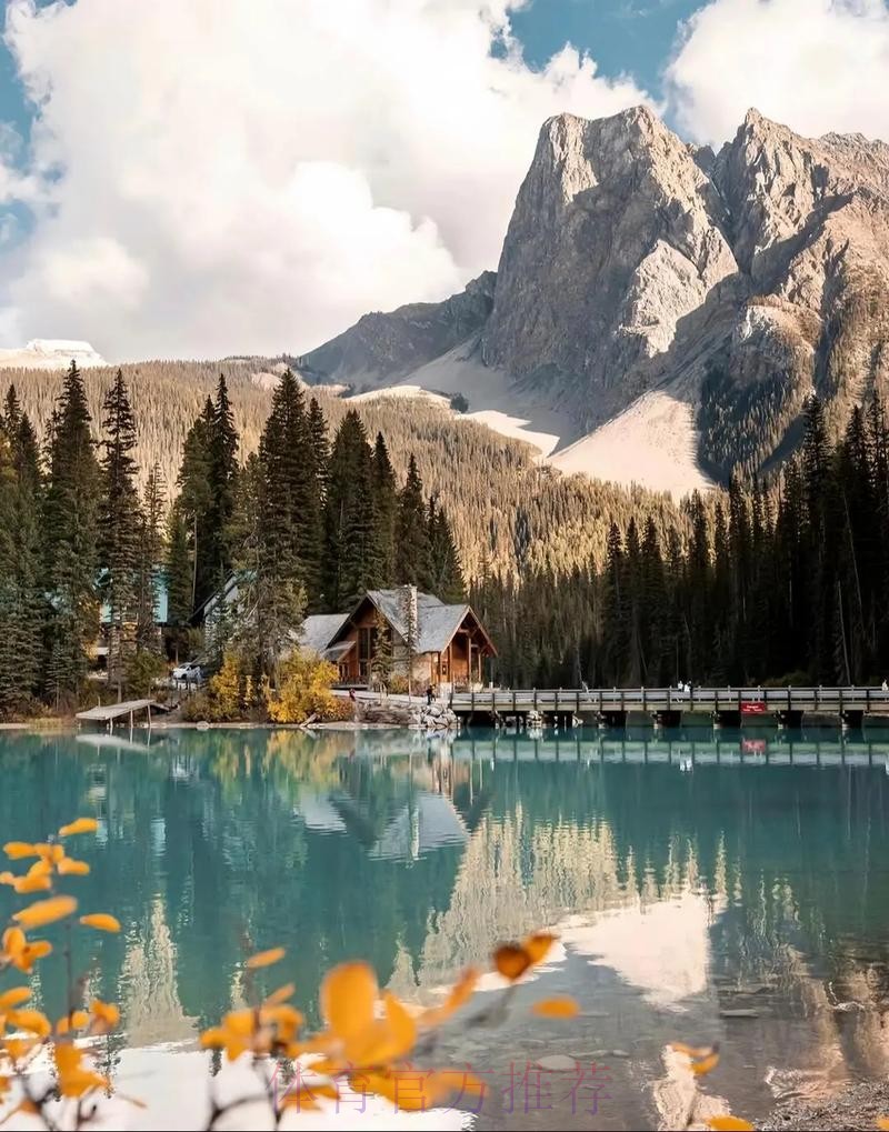 2026美加墨世界杯高清直播下载